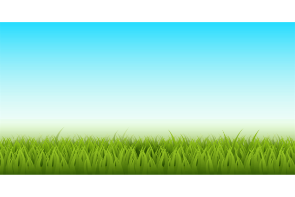 Natural Landscape with Grass. Green Lawn: A Practical Guide for Designers and Creators